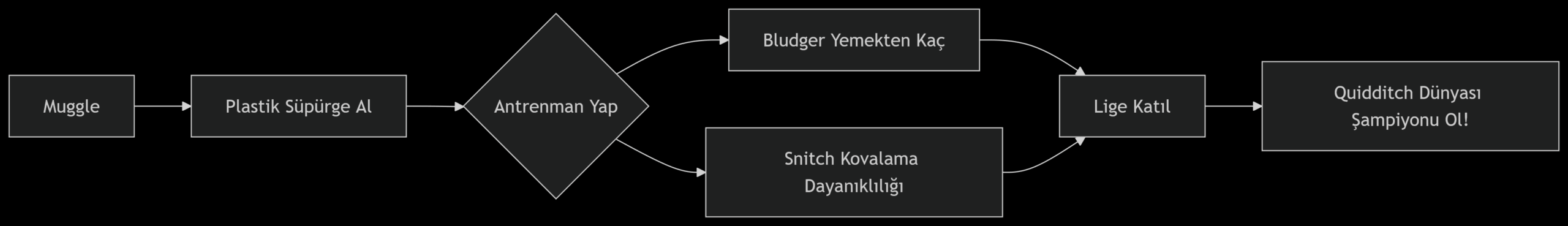 Quidditch Gerçek Oldu Muggle’lar Nasıl Oynuyor (1)2