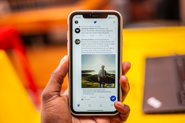 Link Önizleme Yanlış (TwitterX) meta tags, Card Türü ve Sunucu Önbelleği Temizleme