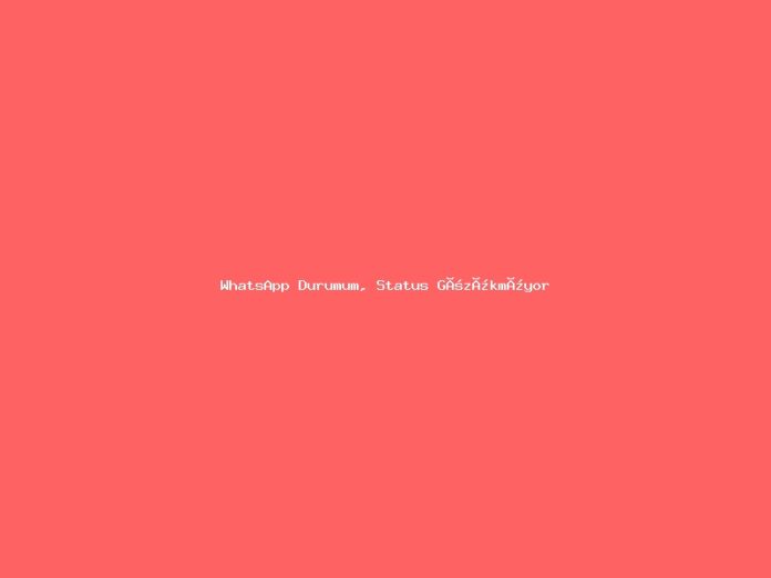WhatsApp Durumum, Status Gözükmüyor