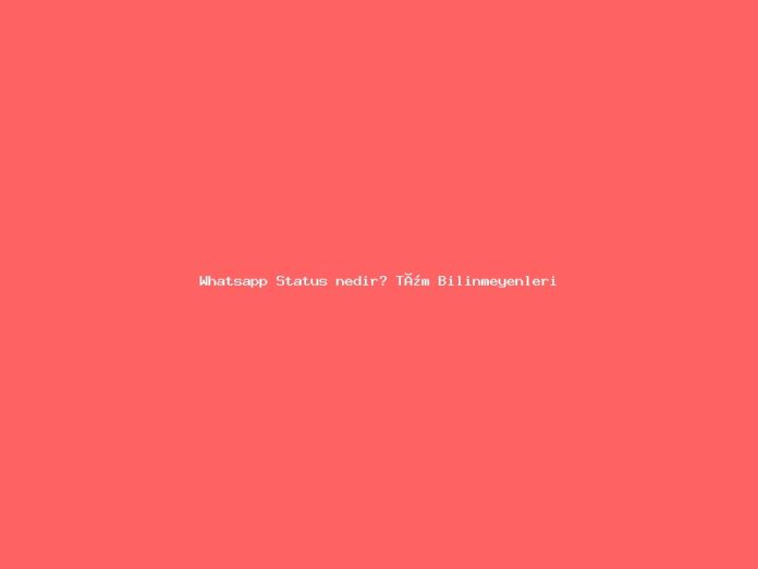 Whatsapp Status nedir? Tüm Bilinmeyenleri